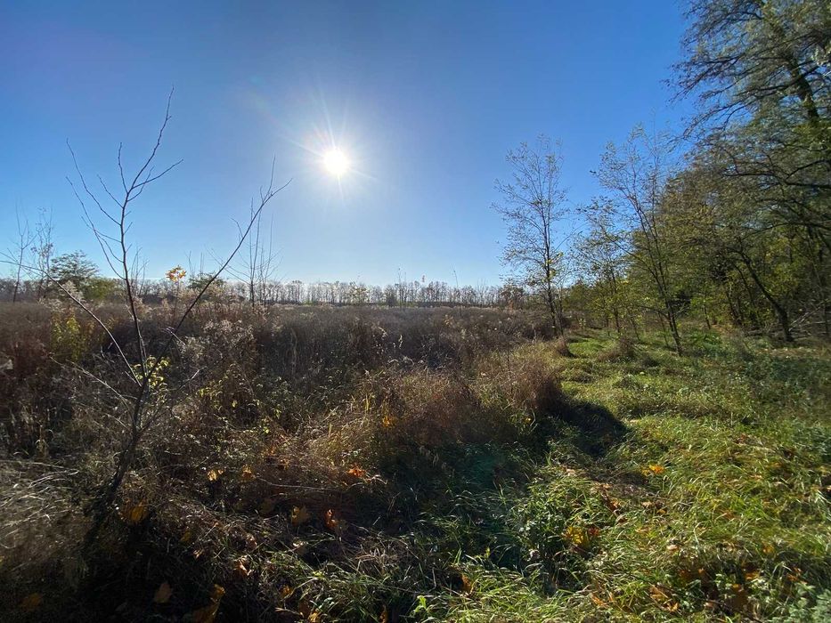 Продається земельна ділянка в Бохониках