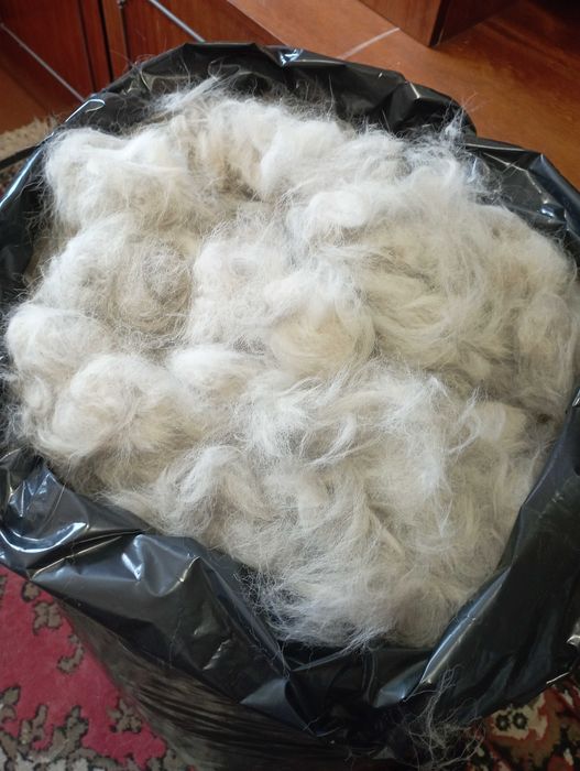 Продам шерсть Сибирской Хаски 5 кг.