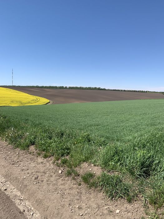 Панорамна земельна ділянка поблизу Тернополя