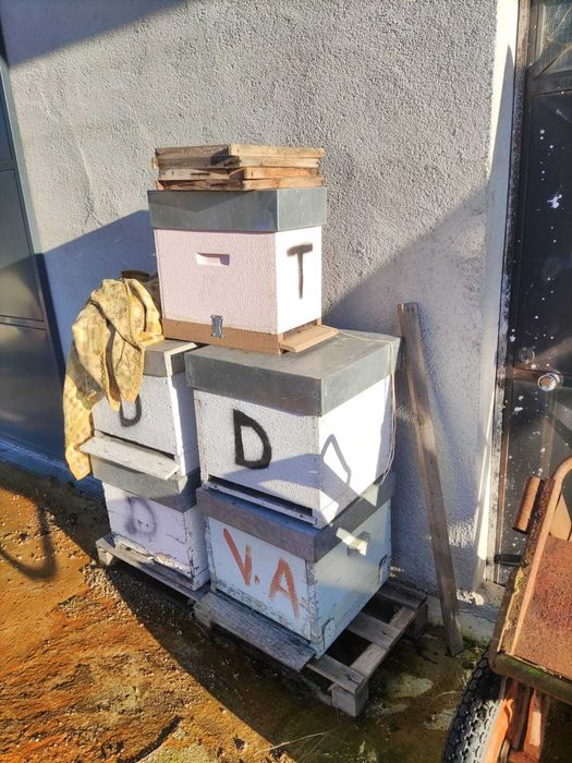 Material apícola