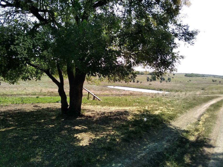 Продам капітальну дачу зимового типу.