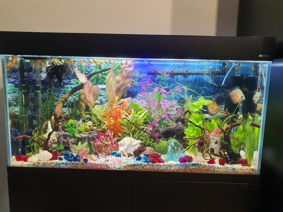 Akwarium Aquel 200l (pokrywa oświetl.)stan idealny + szafka oryginalna