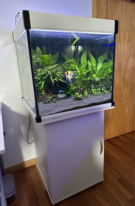 Aquario Completo Cubo 60x60x60