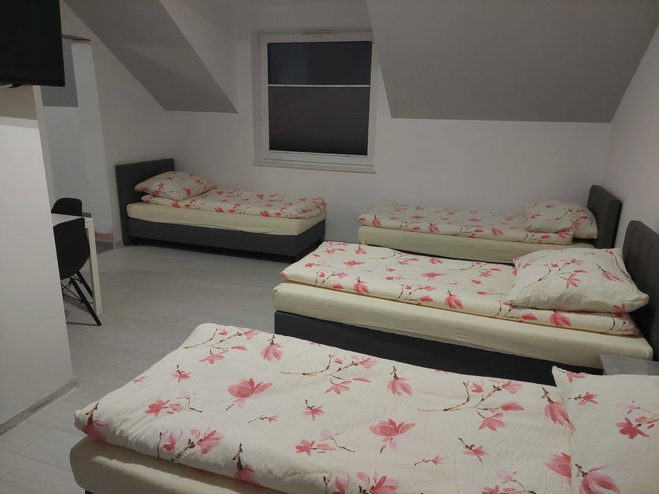 Noclegi VIVA Bielsko-Biała od 60 zł/dobę