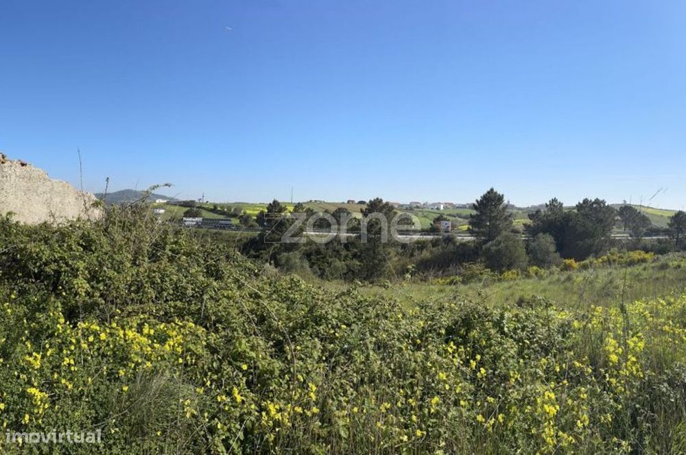 Terreno rústico com parcela urbana à beira da A8