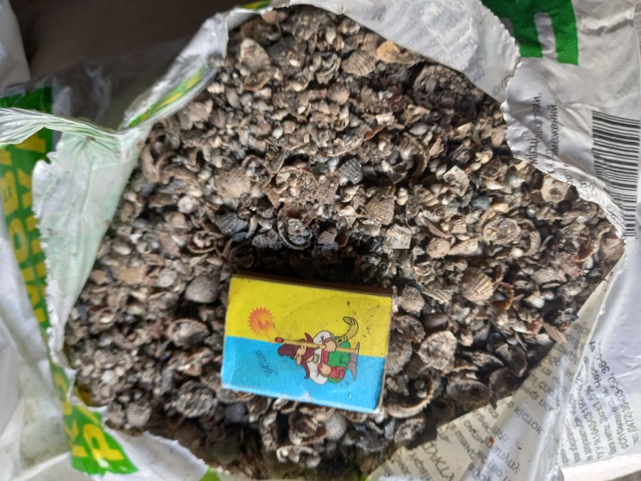 Ракушка кормова морська подрібнена фасована по 3кг та 30кг