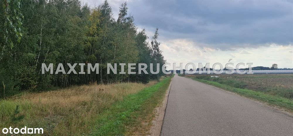 Działki z WZ w Michałowo gm Naruszewo k/Płońska