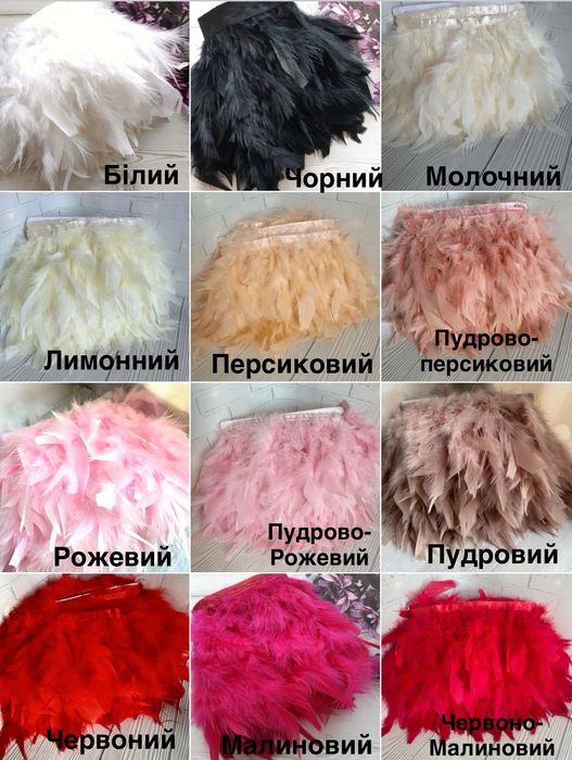 Перо на стрічці