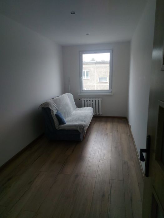 mieszkanie do wynajęcia