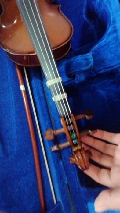 Violino Stentor 1/4 à venda