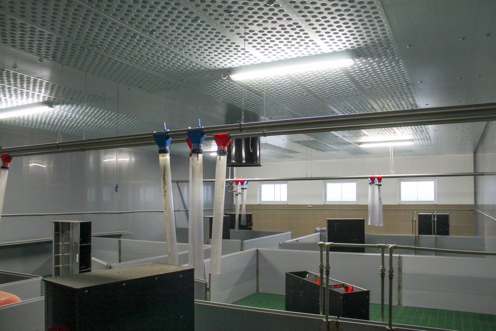 Sufit Wentylacyjny Perforowany Panele Izolacyjne Styrodur XPS AGRO 40