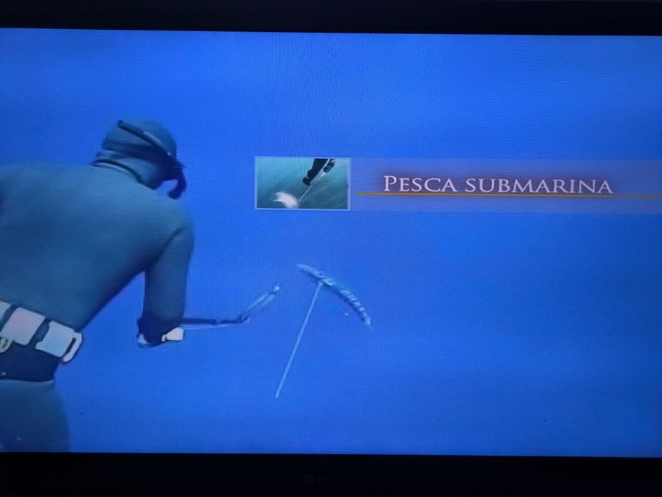 12 DVDs Pesca e Pesca Submarina "Mundo da Pesca"