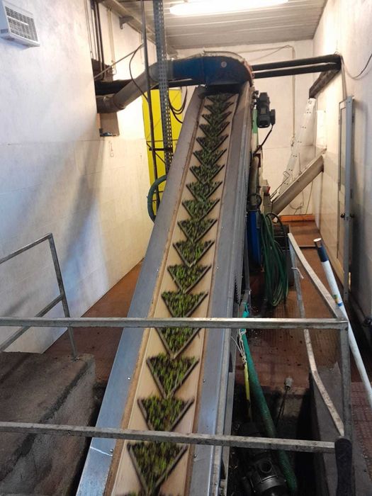 Azeite 100% BIOLÓGICO