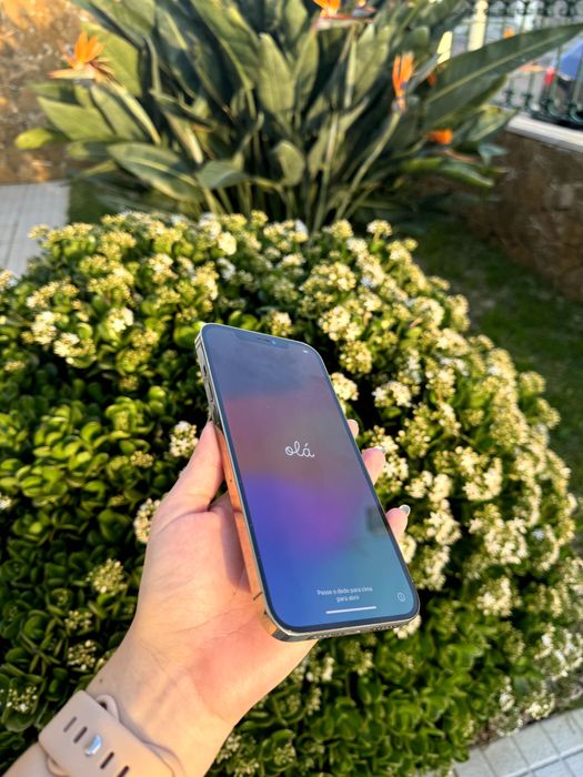 iPhone 12 Pro Max 128gb