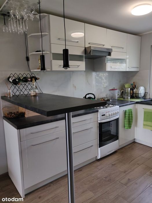 Działka z domkiem 60 m² kominek ogród sauna - Widok 4