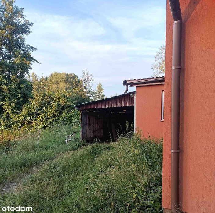 Sprzedam dużą, malowniczą działkę z domkiem Brzeźce k. Białobrzegów