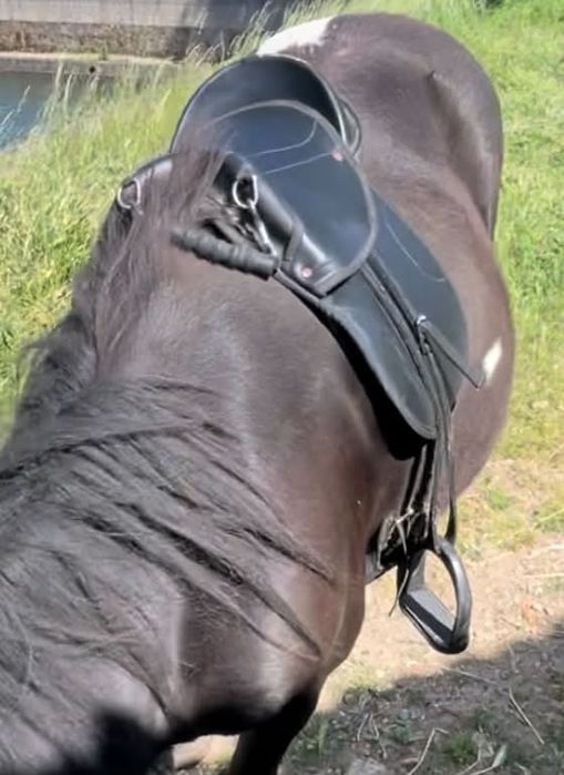 Vendo sela para pôneis