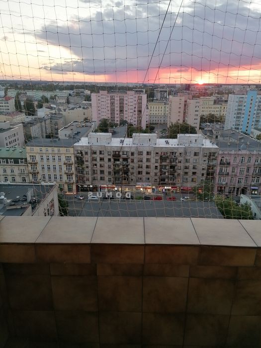 Zdjęcie 8