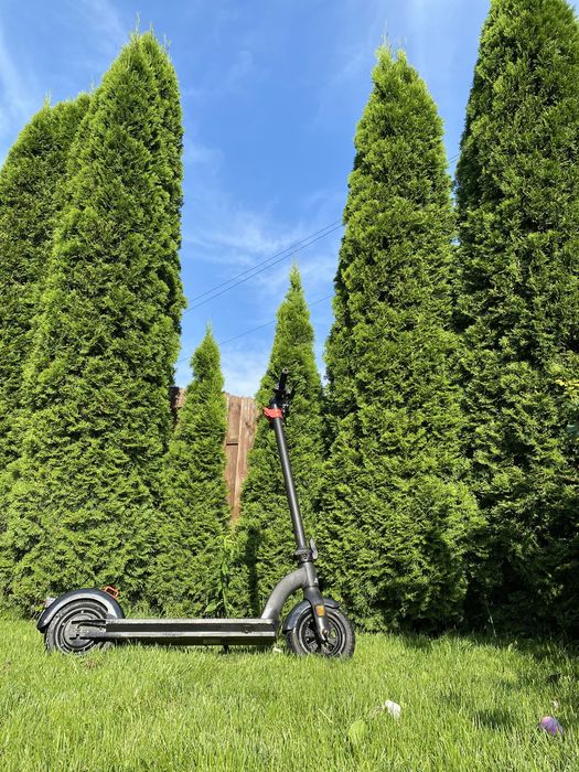 Hulajnoga Elektryczna Frugal Stout