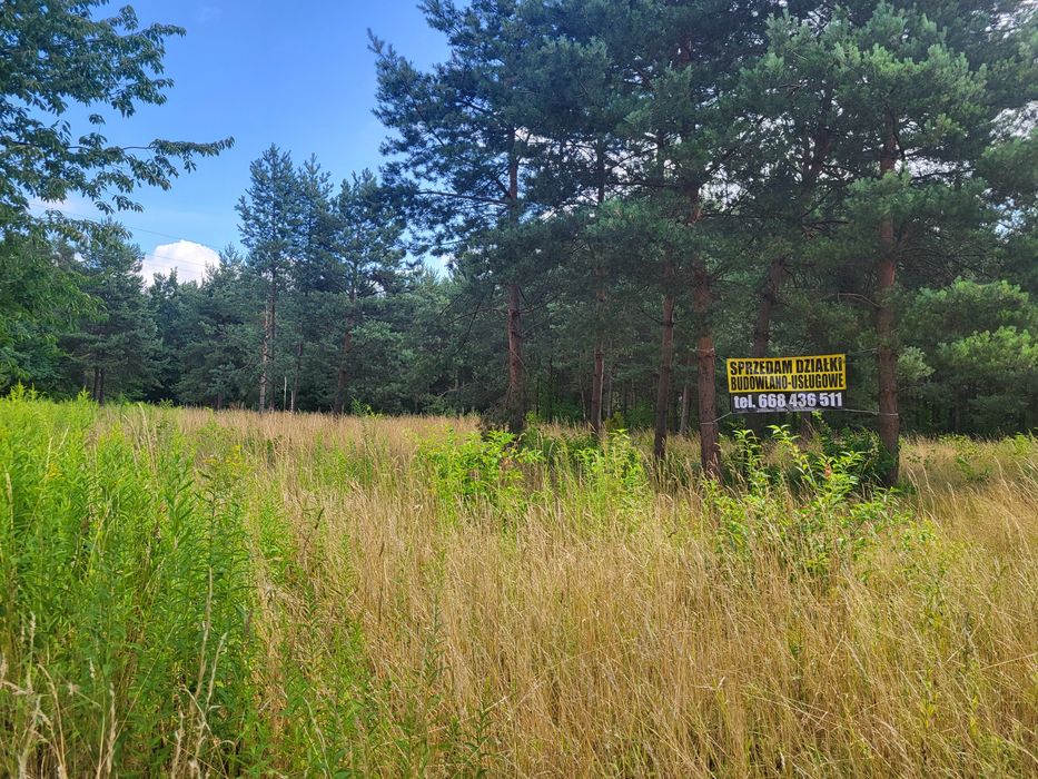 Działka usługowo-budowlana 4000 m² – Lasek, gm. Żabia Wola - Widok 3