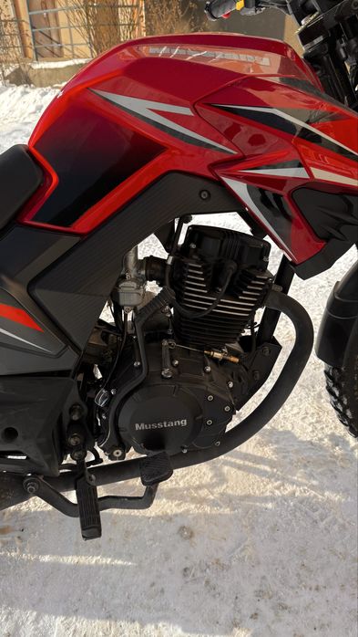 Mustang Fortuna 200-2022p