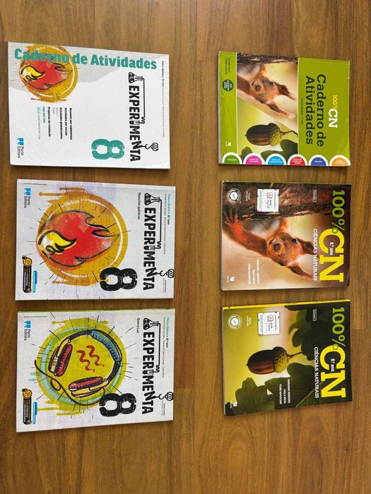 Livros escolares / Manuais e cadernos 8º ano - inglês, matematica, portugues,  e todas as outras disciplinas / Salesianos