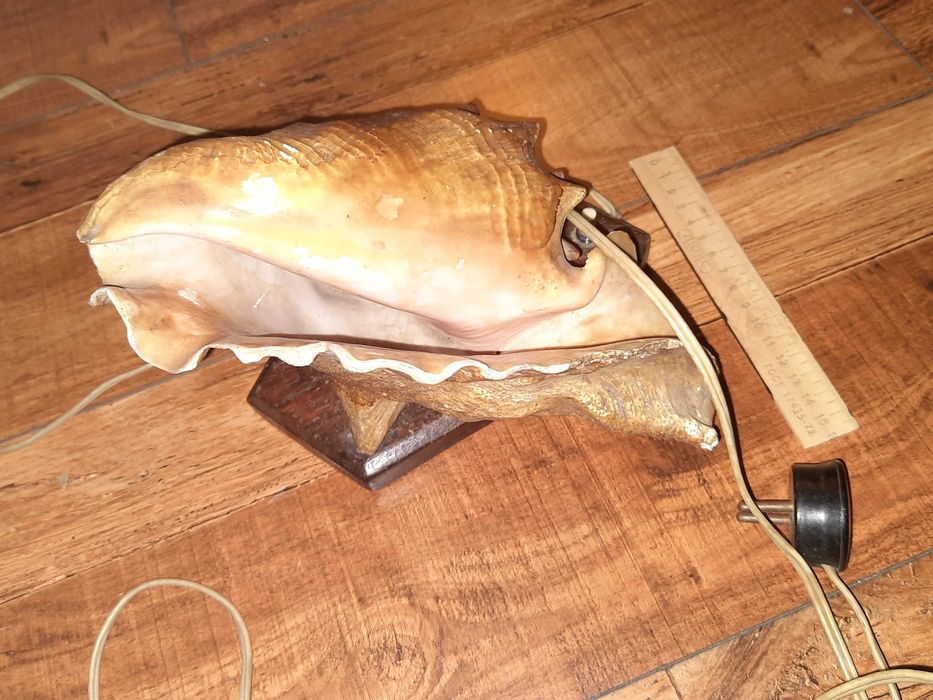 Продам светильник Ракушка