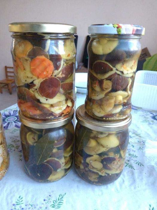 Grzyby suszone, grzyby marynowane, prawdziwek (borowik), podgrzybek