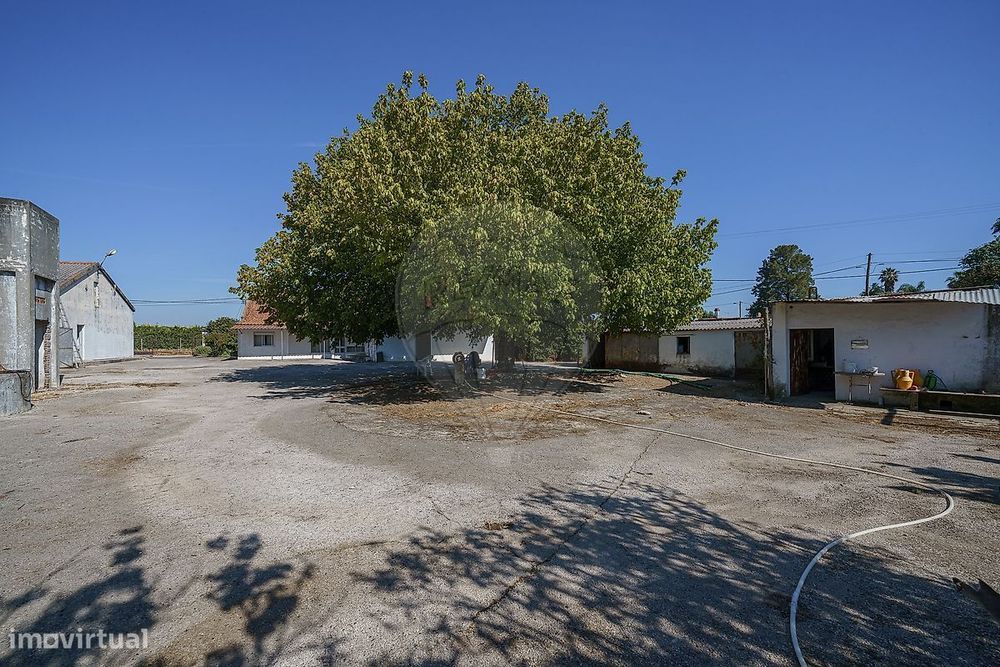 T3 Country Estate for Sale