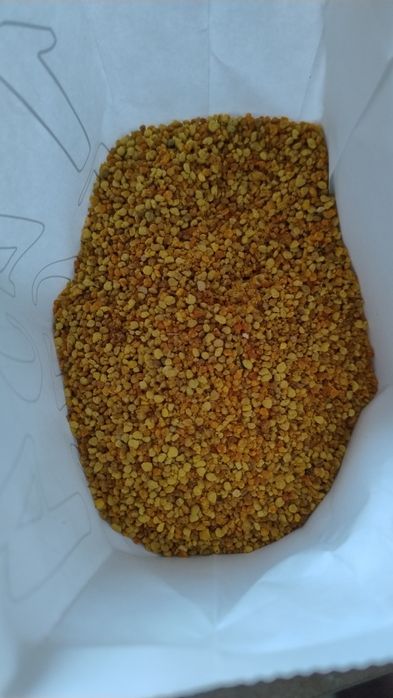 Pyłek pszczeli 2025r.