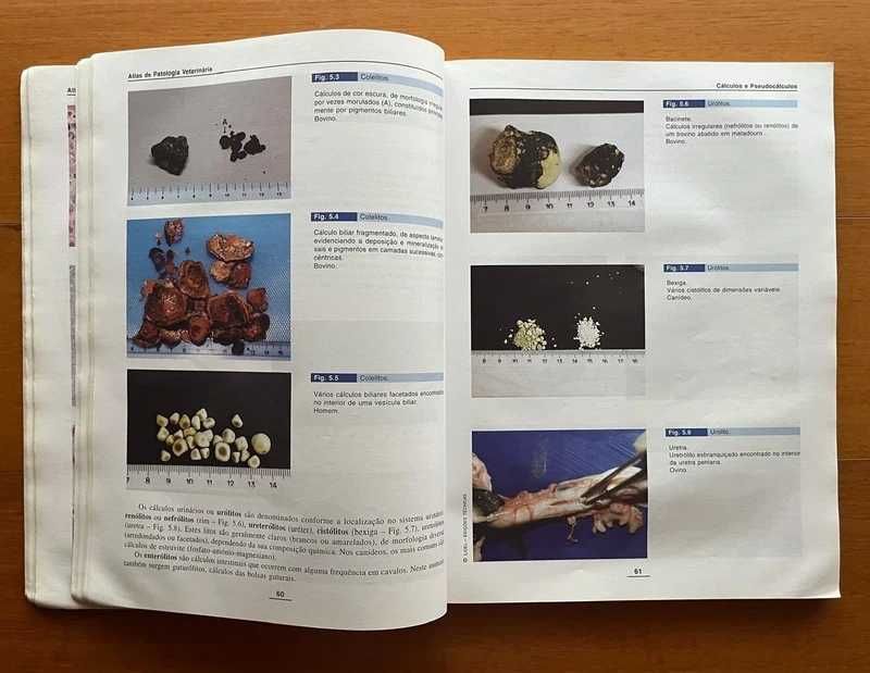 Atlas de Patologia Veterinária - Biopatologia