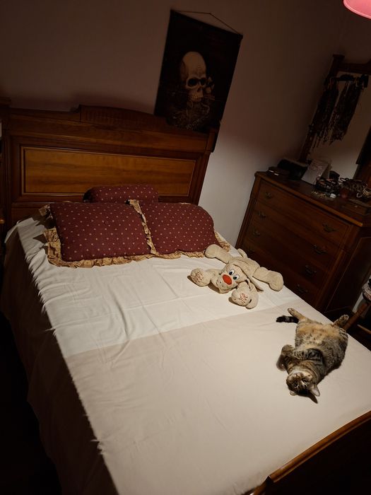 Mobilia de quarto de Casal em Cerejeira