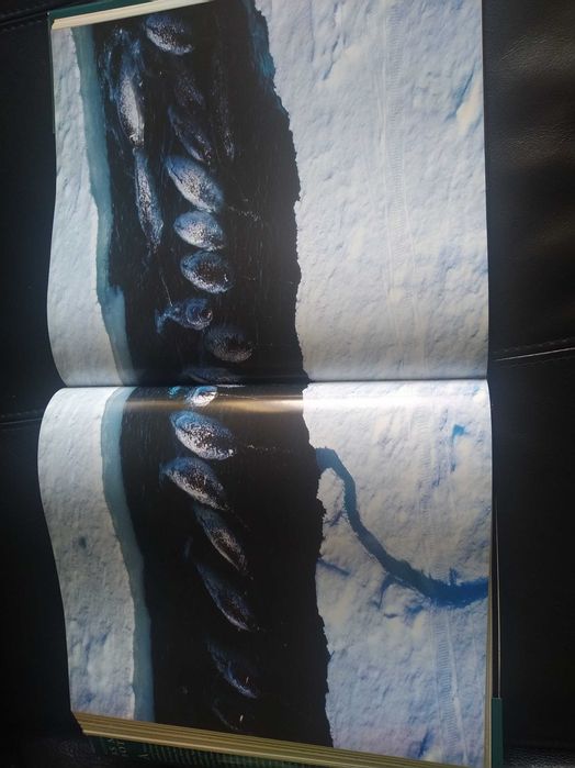 Livro National Geographic - As melhores fotos. Grande edição capa dura