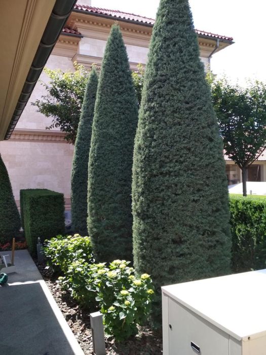 Дом по адресу ул. Спортивная (площадь 550 м²) - Atlanta.ua - фото 20