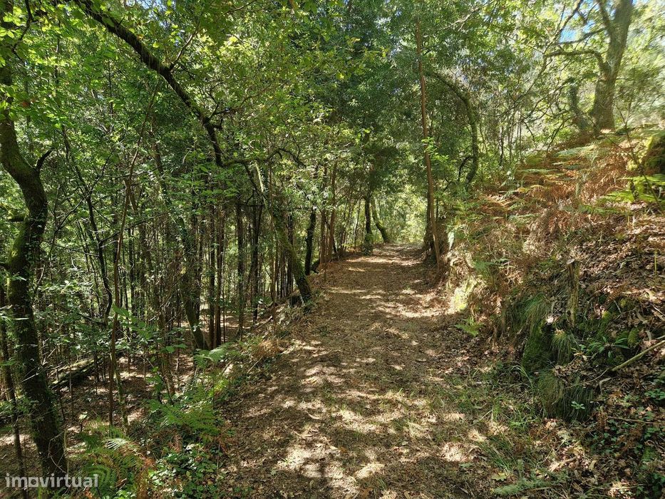 Terreno  Venda em Mosteiro,Vieira do Minho