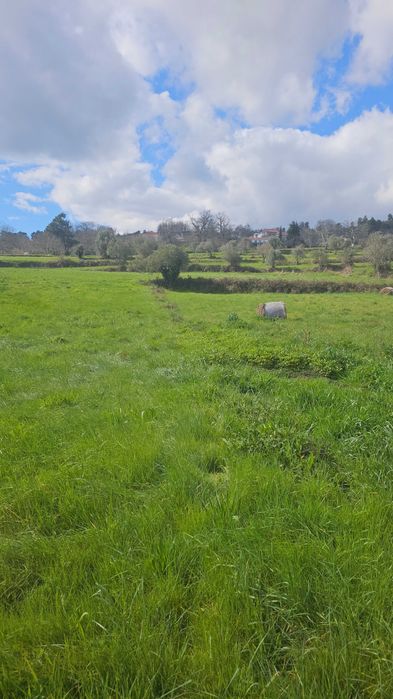 Terreno Frechão 2.2ha