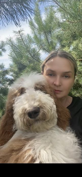 Гіганський пудель, цуценята