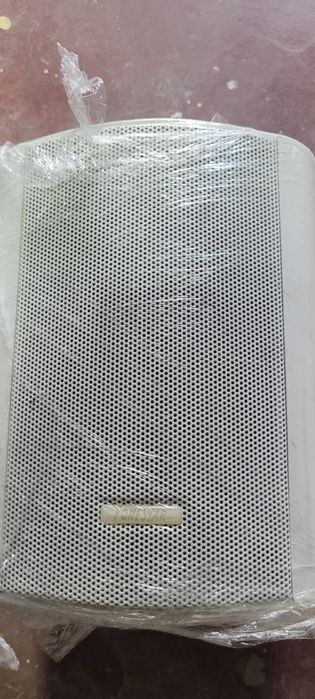 Coluna Bose Modelo 101 Music Monitor para Interior ou Exterior de cor