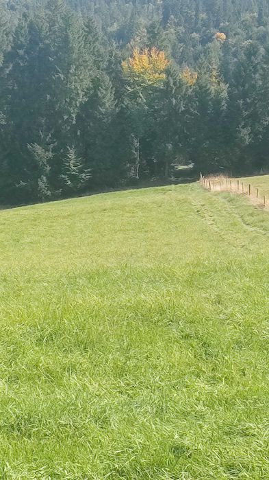 Działka budowlano/rolna