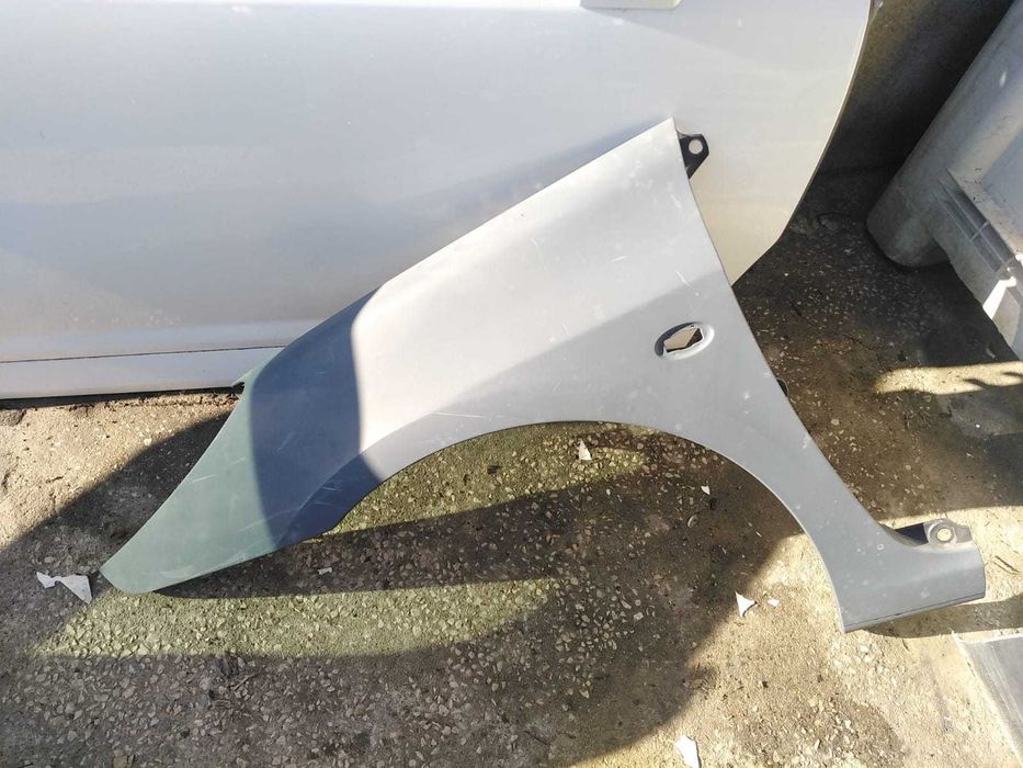 Guarda Lamas Esquerdo Peugeot 307