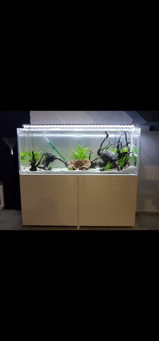 Aquário ACRÍLICO 150cm 300Lts com móvel, filtro e muitos extras