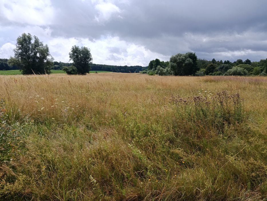 Sprzedam działkę rolno-budowlaną