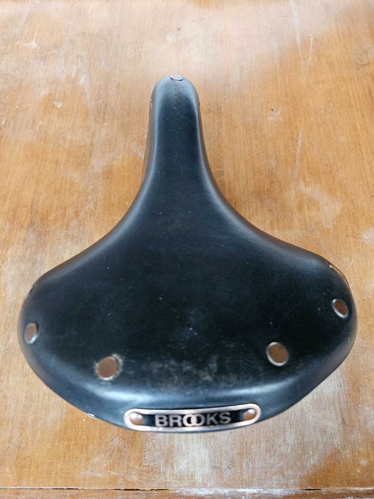 Selim Brooks Champion S