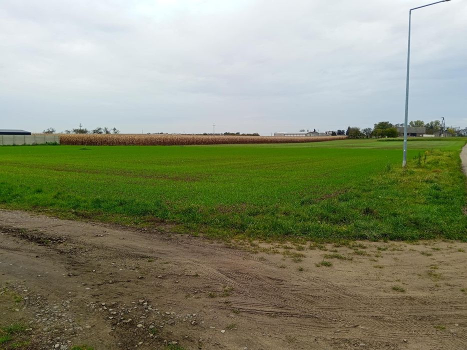 Sprzedam działkę budowlaną