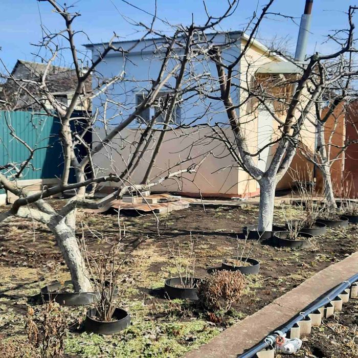 Дача ОСТ  Бузьке