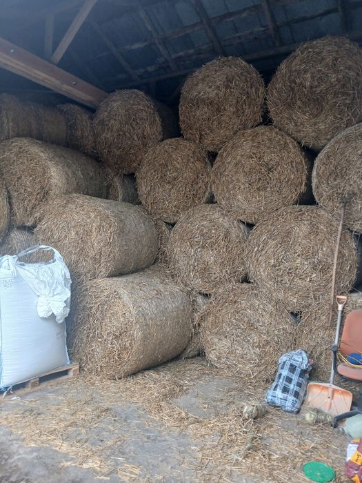 Sprzedam suchą słomę, ze stodoły