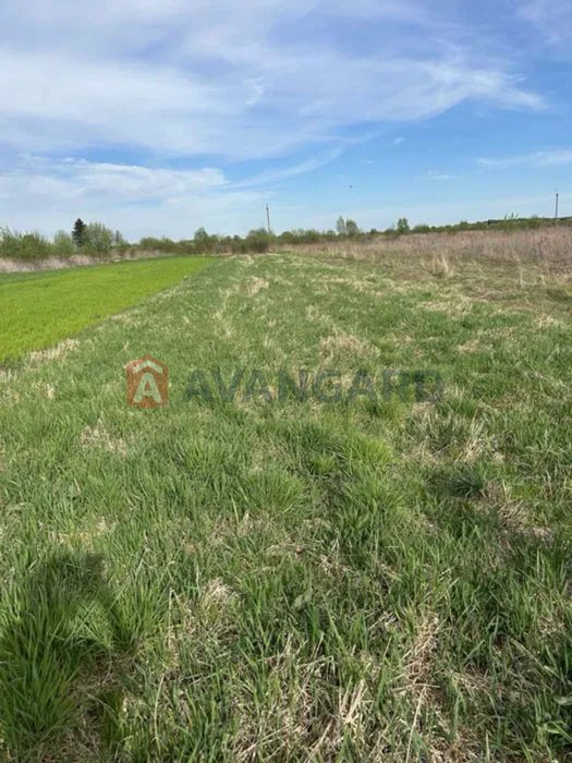 продаж ділянки в с.Суховоля