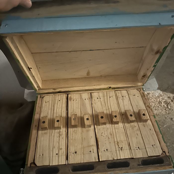 Улій, вулики, улики, вулик, улії для бджіл, пасіка короби