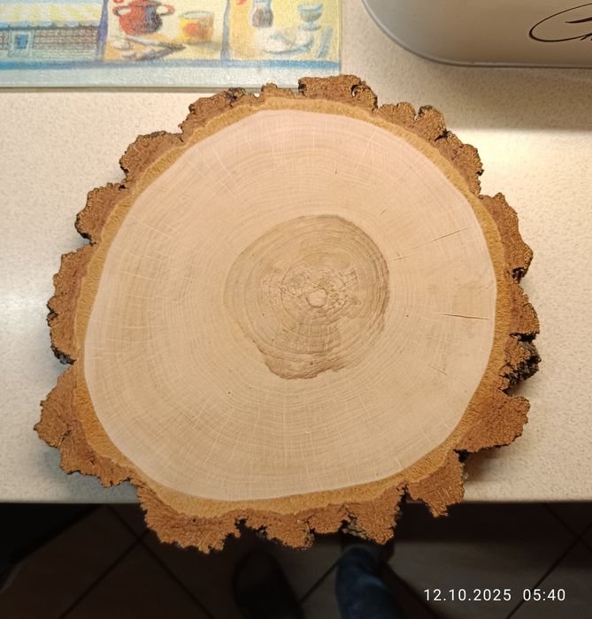 Plaster drewna brzoza szlifowana 33-36 cm