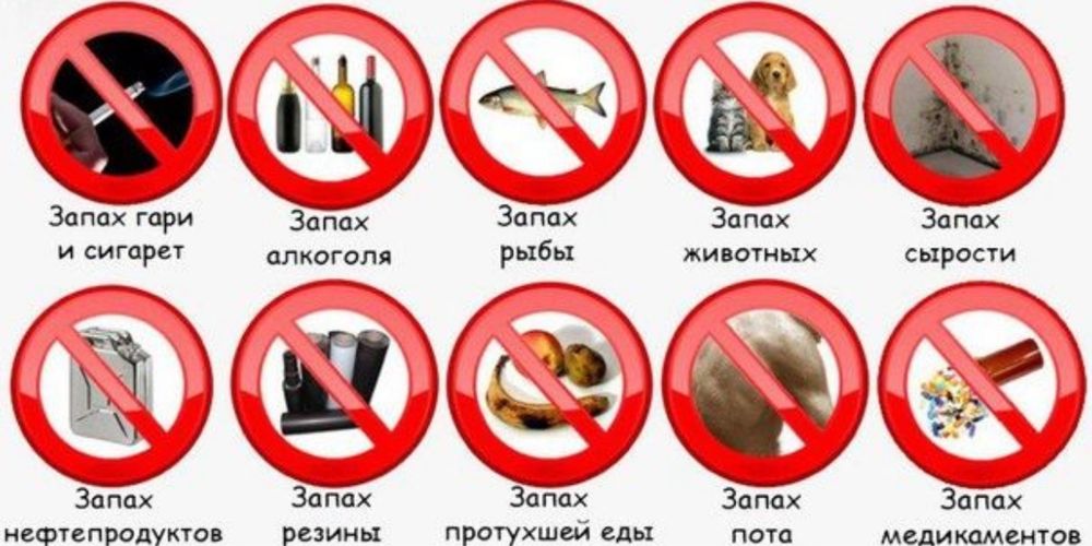 Прибираємо неприємні запахи у квартирі та салоні автомобіля — Озонування приміщень Видадення неприємних запахів